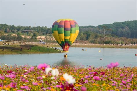 Premium Photo Balloon Floating In The Middle Of The Cosmos Flower Field