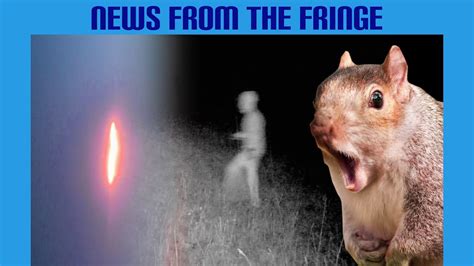 Naked Alien Photo Strangeness In The Woods Bigfoot Sighting In The