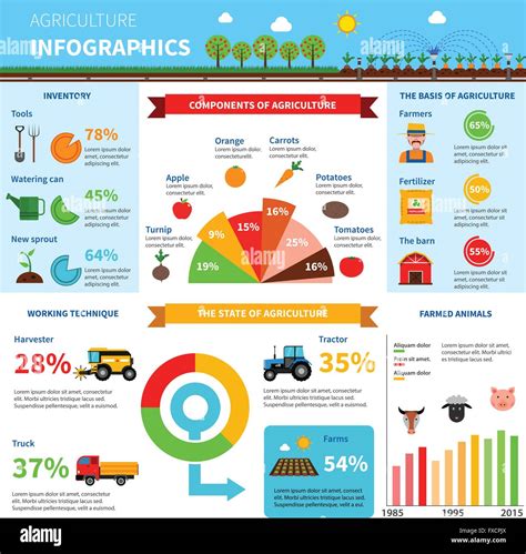 Agriculture Infographics Set Stock Vector Image And Art Alamy