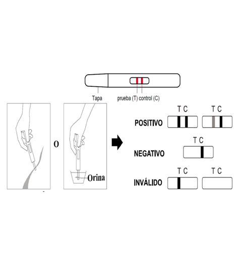 Hcg Prueba Rapida De Embarazo De Sensibilidad Mejorada En Midstream