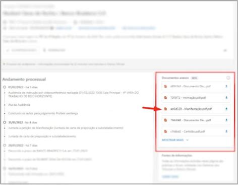 Como Ter Acesso Aos Documentos De Um Processo D Vidas Frequentes