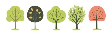 Hundred Cute Simple Naked Tree Royalty Free Images Stock Photos