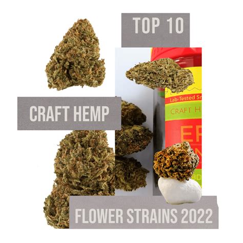 Top 5 Craft Hemp Flower Strains 2020