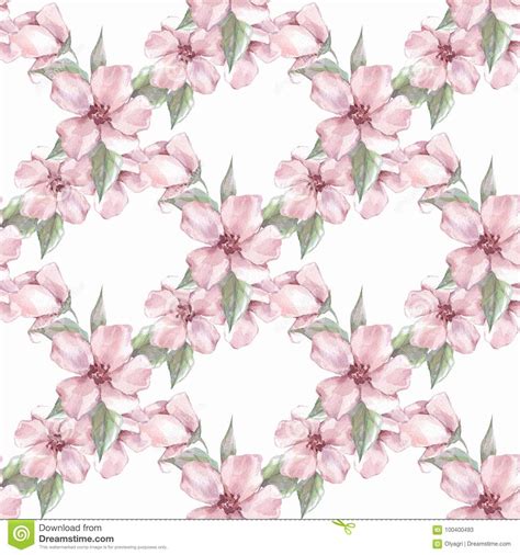 Floral Seamless Pattern With Pink Flowers 1 Stock Illustration