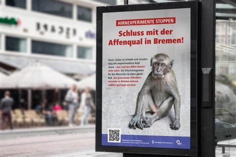 Große Plakataktion gegen Affenqual in Bremen Ärzte gegen Tierversuche