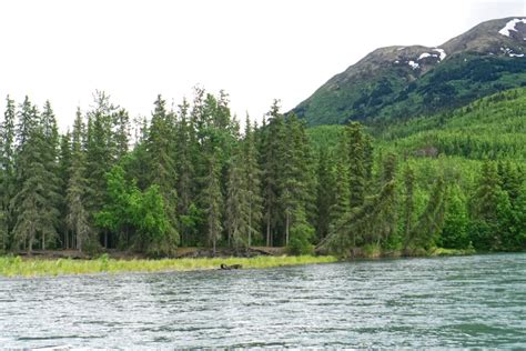 Upper Kenai River Kenai River Float N Fish