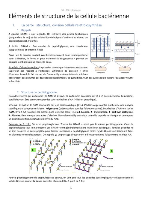 Cours Elements de structure de la cellule bactérienne Eléments de