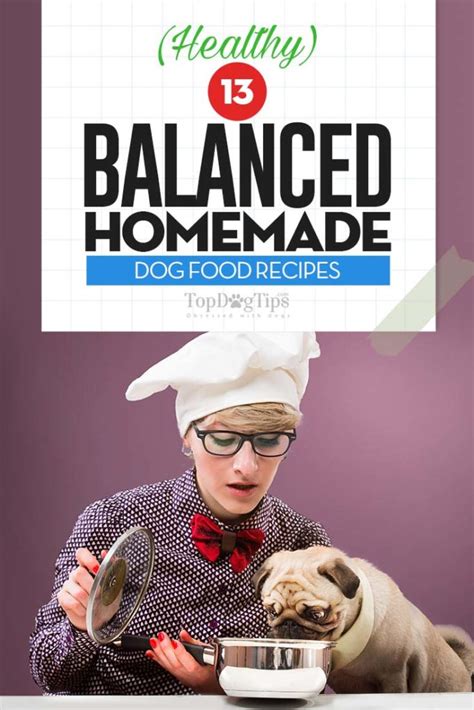 Daniels Tasty Petfoods — 13 Balanced Homemade Dog Food Recipes