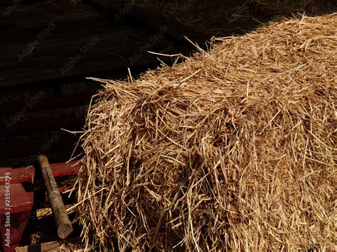 pile of straw Stock Photo | Adobe Stock