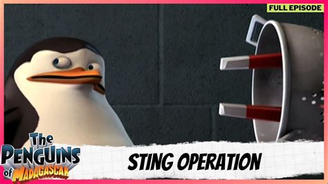 The Penguins Of Madagascar Full Episode Sting Operation Youtube