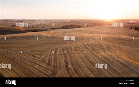 Sunset in the Palouse wheat fields of Eastern Washington Stock Photo ...