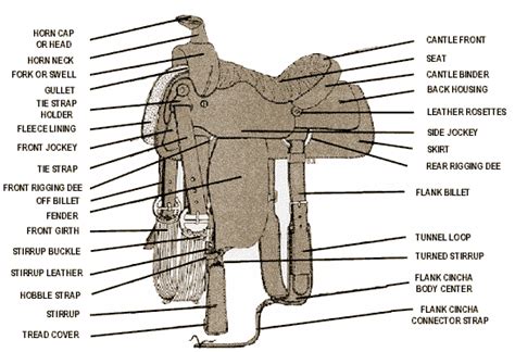 Parts Of Saddlebridleandhorse Martin County Florida