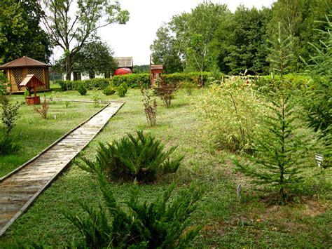 Минидендропарк | дендрарий