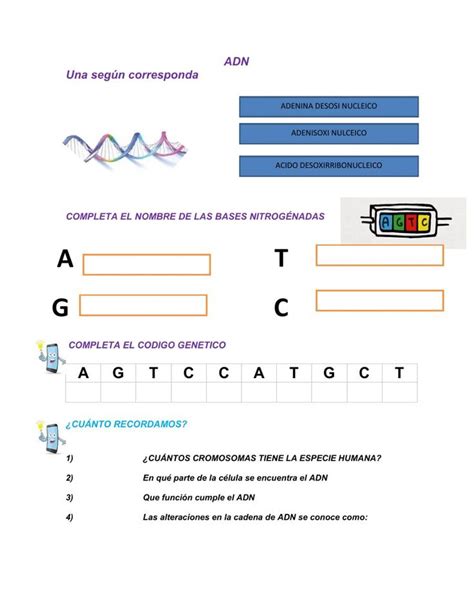 Ejercicio Online De El ADN Para 1 Puedes Hacer Los Ejercicios Online O