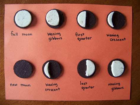 Oreo Phases Of The Moon Worksheet