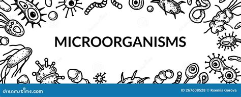 Microbiology Banner. Collection Of Different Types Of Microorganisms. Scientific Vector ...