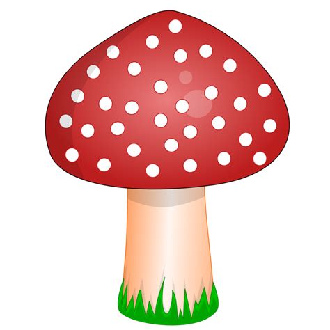 Red Mushroom Illustration 34972744 Png