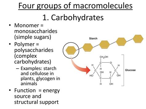 Notes Macromolecules Ppt Download