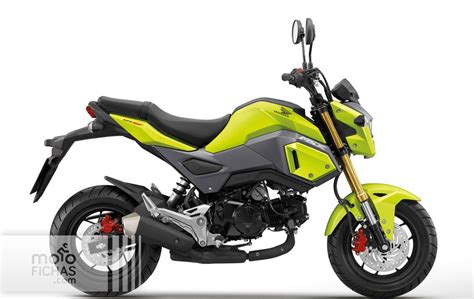 Comparativa Benelli Tornado Naked TNT 125 2018 2020 Honda MSX125 2017