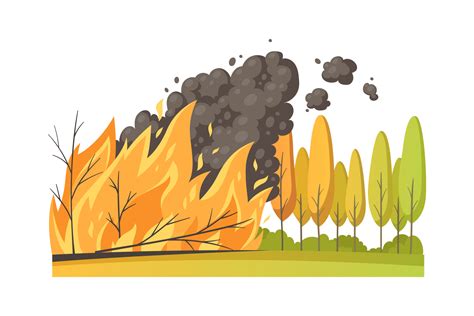 Stubble Burning Environmental Impact And Solutions