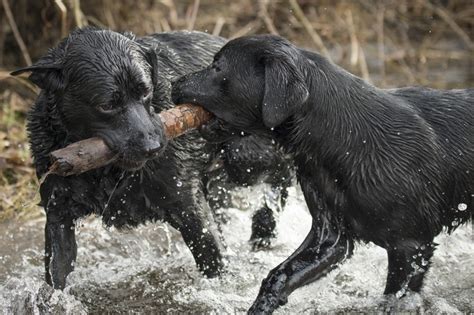 atplay (1 of 1)-2 by Scott34 - VIEWBUG.com