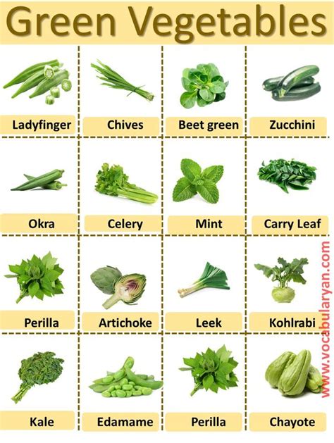 50 Green Leafy Vegetable Names In English With Pictures Green