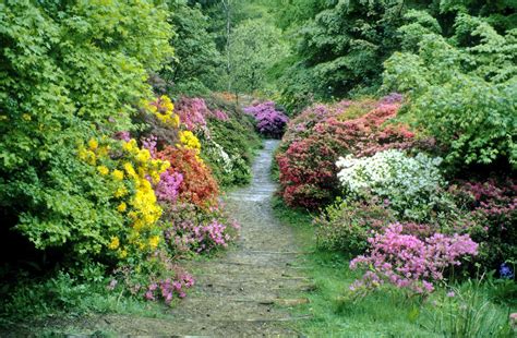 Winkworth Arboretum – EGHN