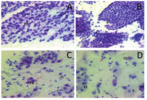 Endometrial Cytology Of Cow With Healthy Uterus Wright Giemsa Staining Download Scientific