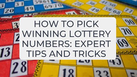 How To Pick Winning Lottery Numbers Expert Tips And Tricks Finances Rule