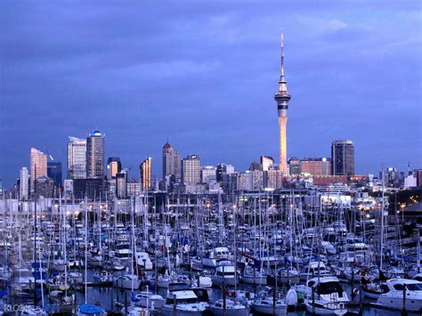 Morning Auckland City Highlights Klook Australia