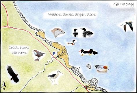 Isle of Mull Wildlife Maps. Find out about the Isle of Mull's wildlife ...