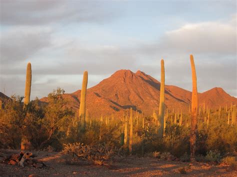 Silver Bell Peak Az Arizona Peakbagging Highpoints And Mountains