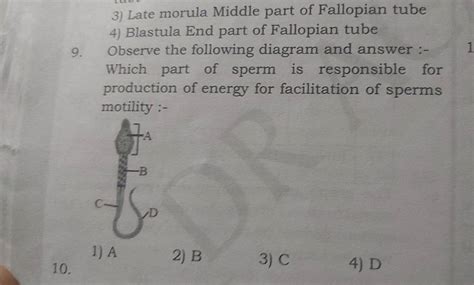 Observe The Following Diagram And Answer Which Part Of Sperm Is Respon