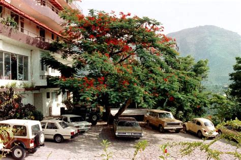 The Montana hotel, Petionville, Haiti, 1982 | Hotel montana, Haiti ...