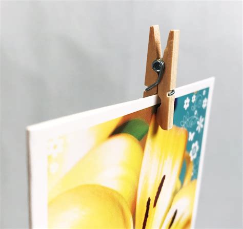 Wooden Clothes Peg Singles Simple Picture Hanging