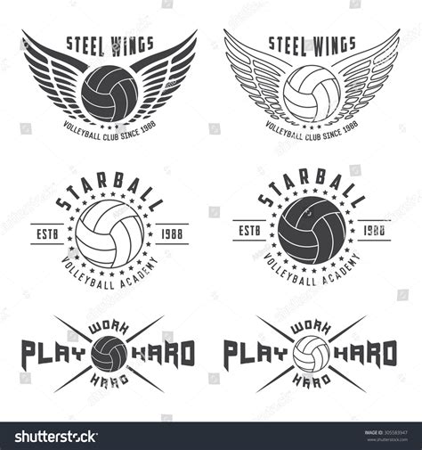 366 Volleyball With Wings Logo Images Stock Photos Vectors