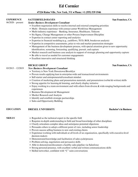 Business Development Consultant Resume Samples Velvet Jobs