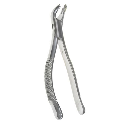 Oral Molar Forceps Lower Anterior As Boss Surgical Instruments