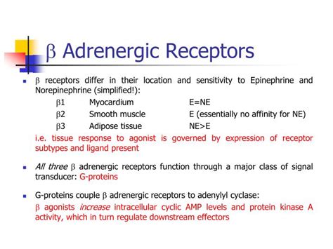 PPT SIGNAL TRANSDUCTION BY ADRENERGIC AND CHOLINERGIC RECEPTORS