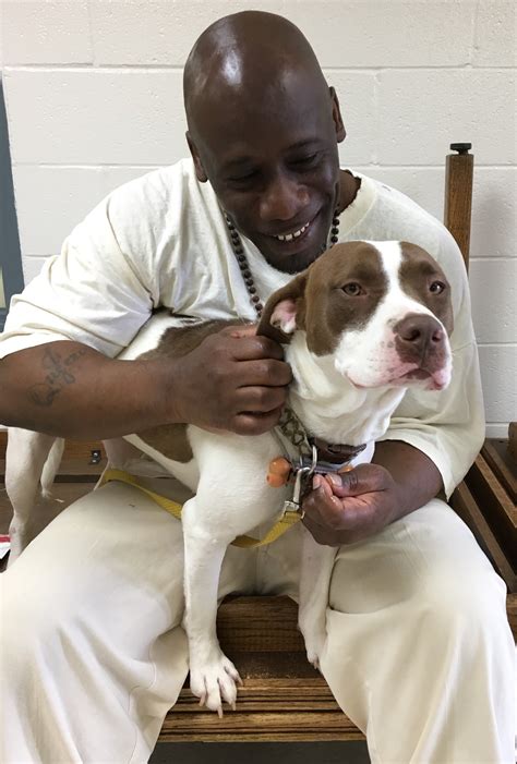 Donate Now | Arkansas Paws in Prison