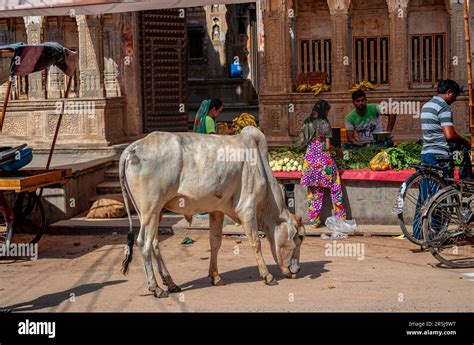 Street Food Stalls In Fatehpur Rajasthan India Stock Photo Alamy