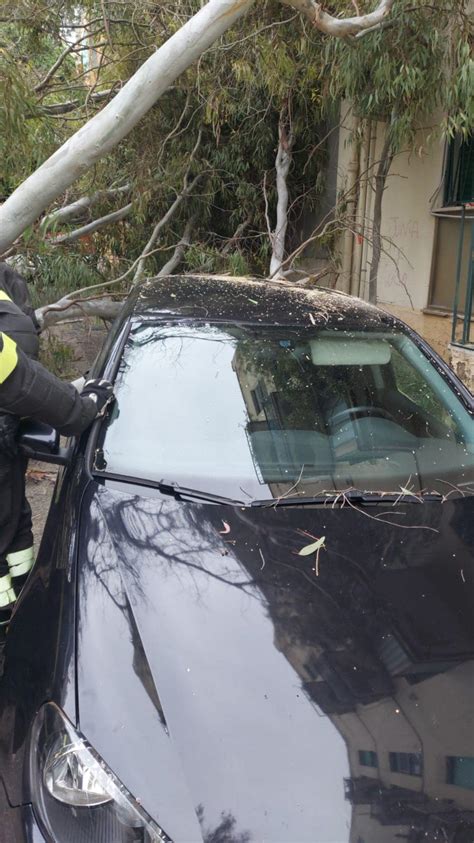 Forte Vento Nel Salento Grosso Albero Cade Su Unauto A Lecce Foto