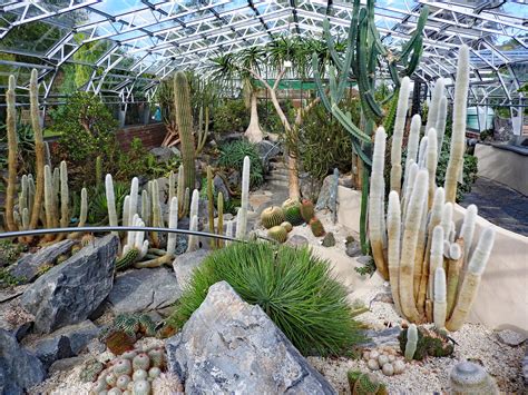 Cactus House Inverness Botanical Gardens Linda 2409 Flickr