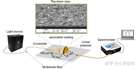 Generation Of Lossy Mode Resonances Lmr Using Perovskite Nanofilms