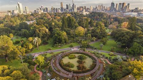 5 Tempat Seru Merayakan New Year Di Sydney Tak Cuma Sydney Harbour Prediksi Bola Hari Ini