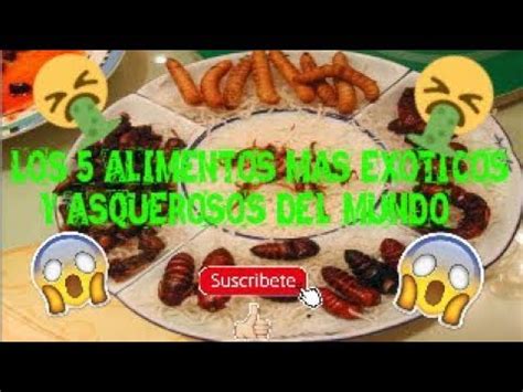 Las 6 Comidas Mas EXTRAÑAS Y ASQUEROSAS Del Mundo YouTube