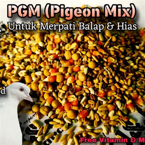 Jual Pakan Burung Merpati PIGEON MIX 5kg JJ Premium Seed Burung Dara