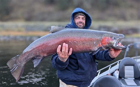 Clearwater River Steelhead Report Reel Time Fishing