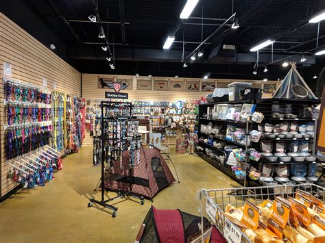 all pets considered greensboro north carolina 2