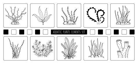 dibujo a mano abstracto de elementos de plantas acuáticas diseño de